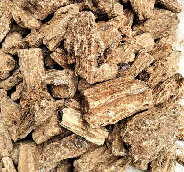 meranti gum